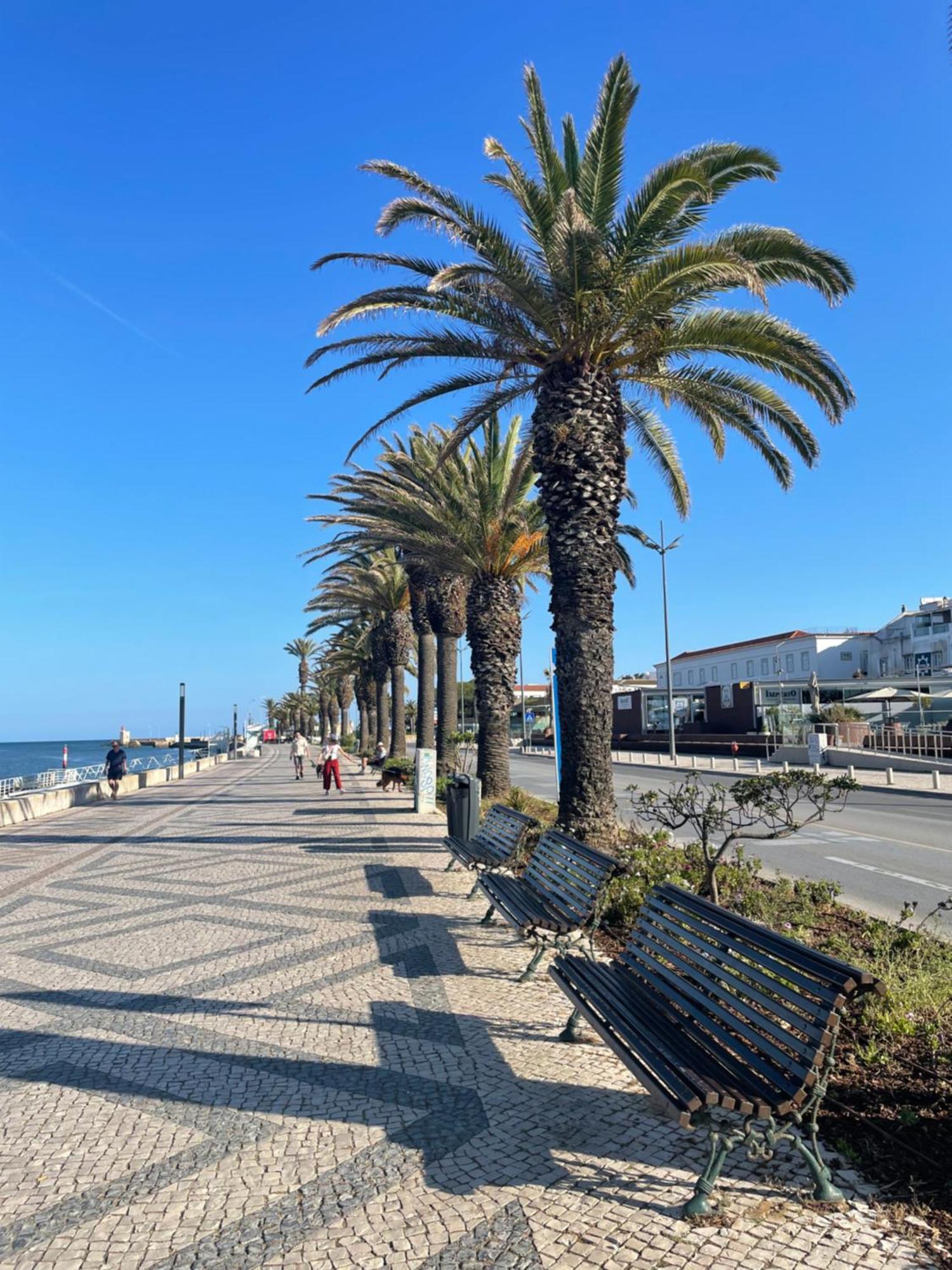 Casa Timor - Perfect Stay For Exploring Lagos & Algarve Экстерьер фото